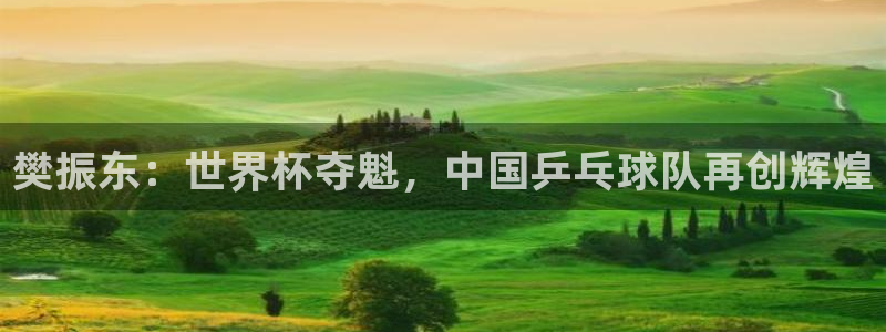 世界杯2026赛程:樊振东:世界杯夺魁,中国乒乓球队再创辉煌