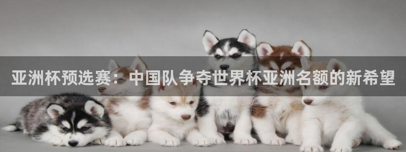 女足世界杯直播:亚洲杯预选赛:中国队争夺世界杯亚洲名额的新希望