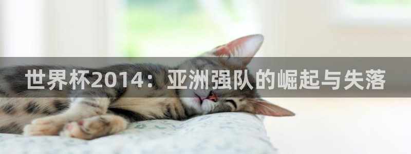 世界杯16强赛程表:世界杯2014:亚洲强队的崛起与失落